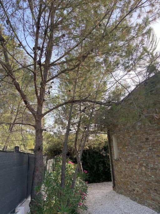 Maison Proche Du Pic Saint Loup Eksteriør billede